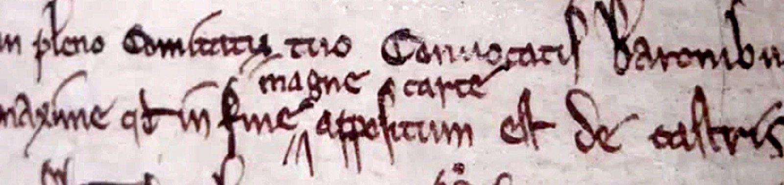 First use of the Magna Carta name 